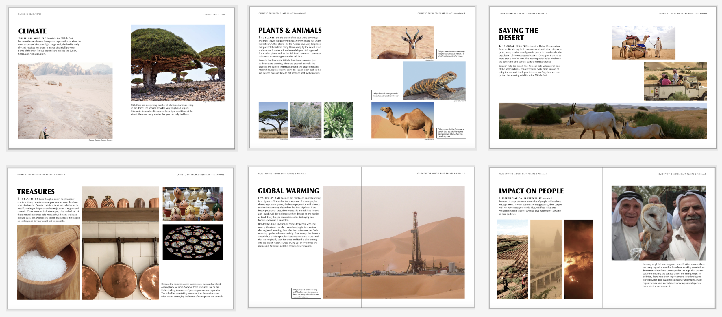 Low-fidelity sketches of the book spread